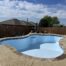 A stunning backyard pool with a smooth blue fiberglass finish, surrounded by a beige concrete deck with stone accents. The pool area is complemented by lounge chairs and a large umbrella, set against a backdrop of a wooden privacy fence and a clear blue sky.